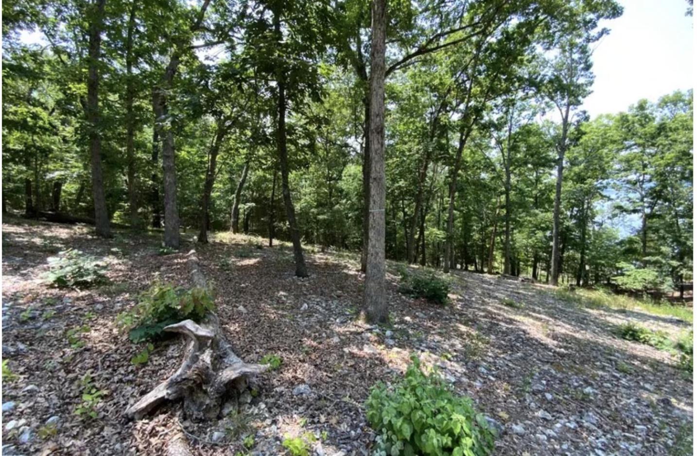 Driftwood Resort Bull Shoals エクステリア 写真