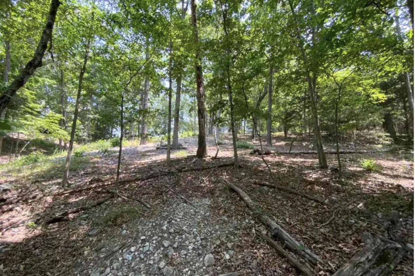 Driftwood Resort Bull Shoals エクステリア 写真