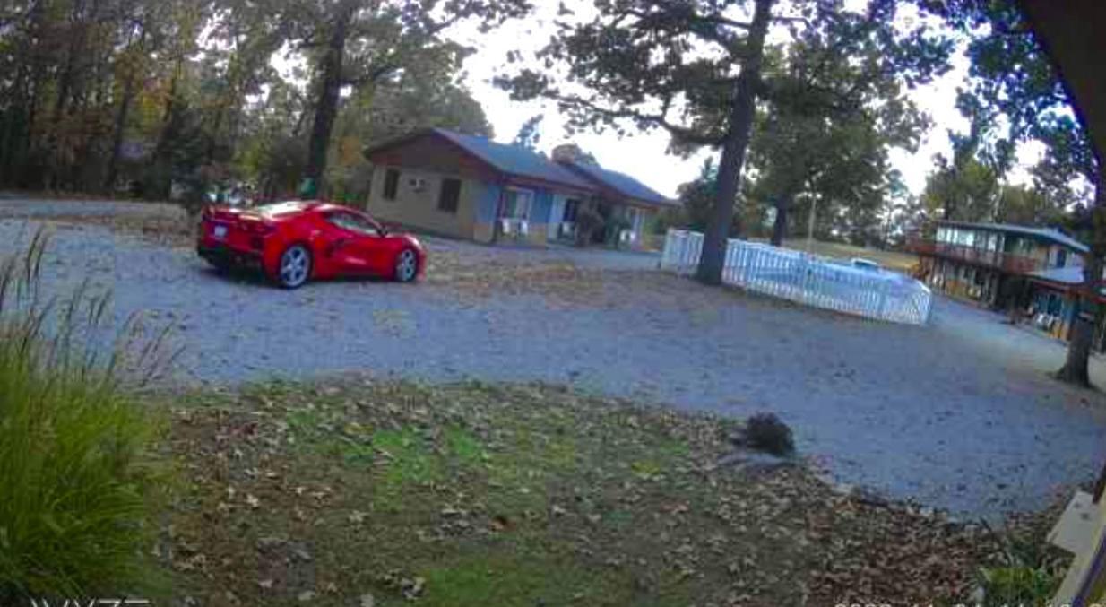 Driftwood Resort Bull Shoals エクステリア 写真